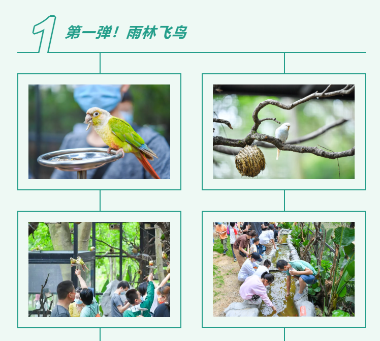 beats365(�й���)-Ψһ�ٷ���վ