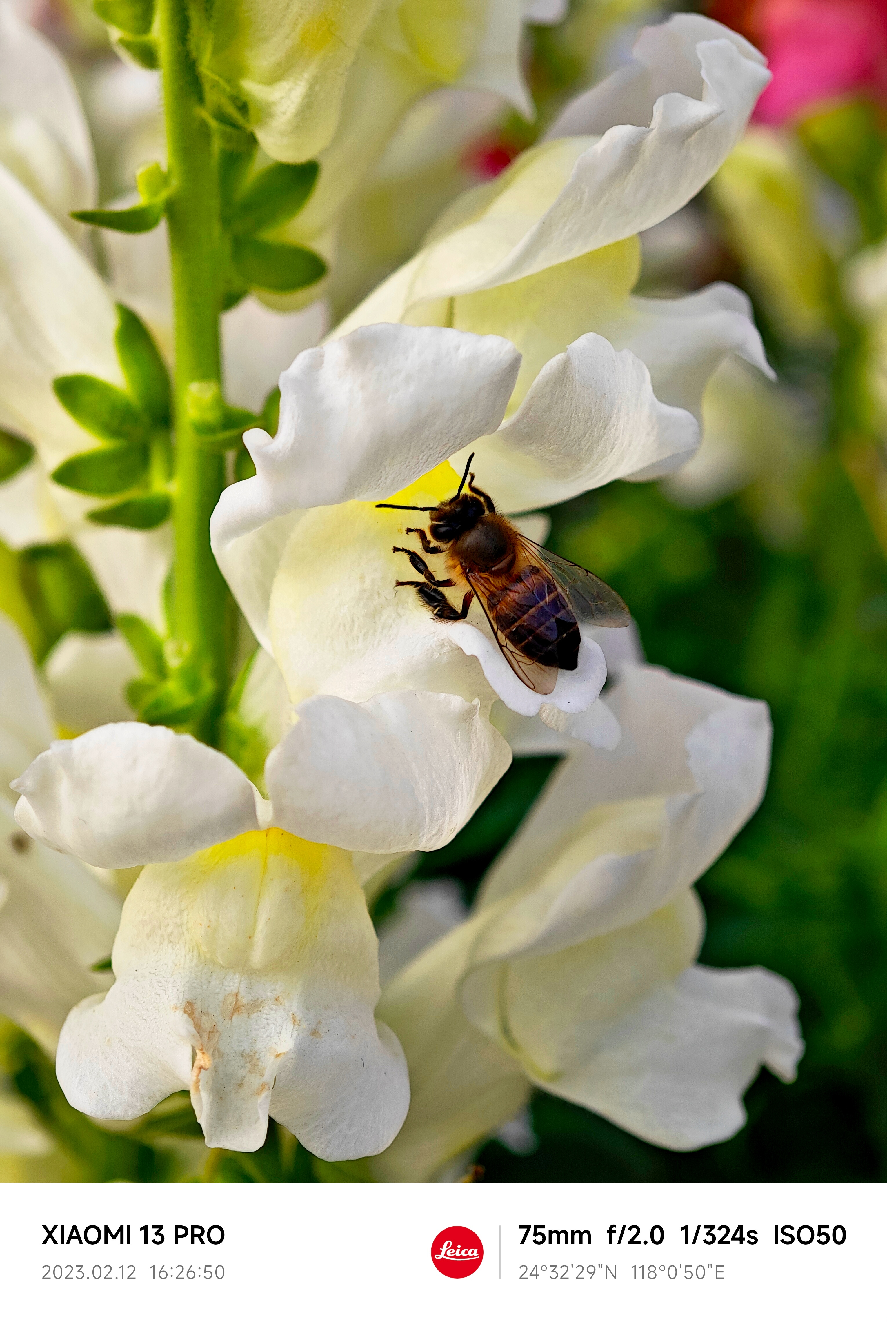 beats365(�й���)-Ψһ�ٷ���վ