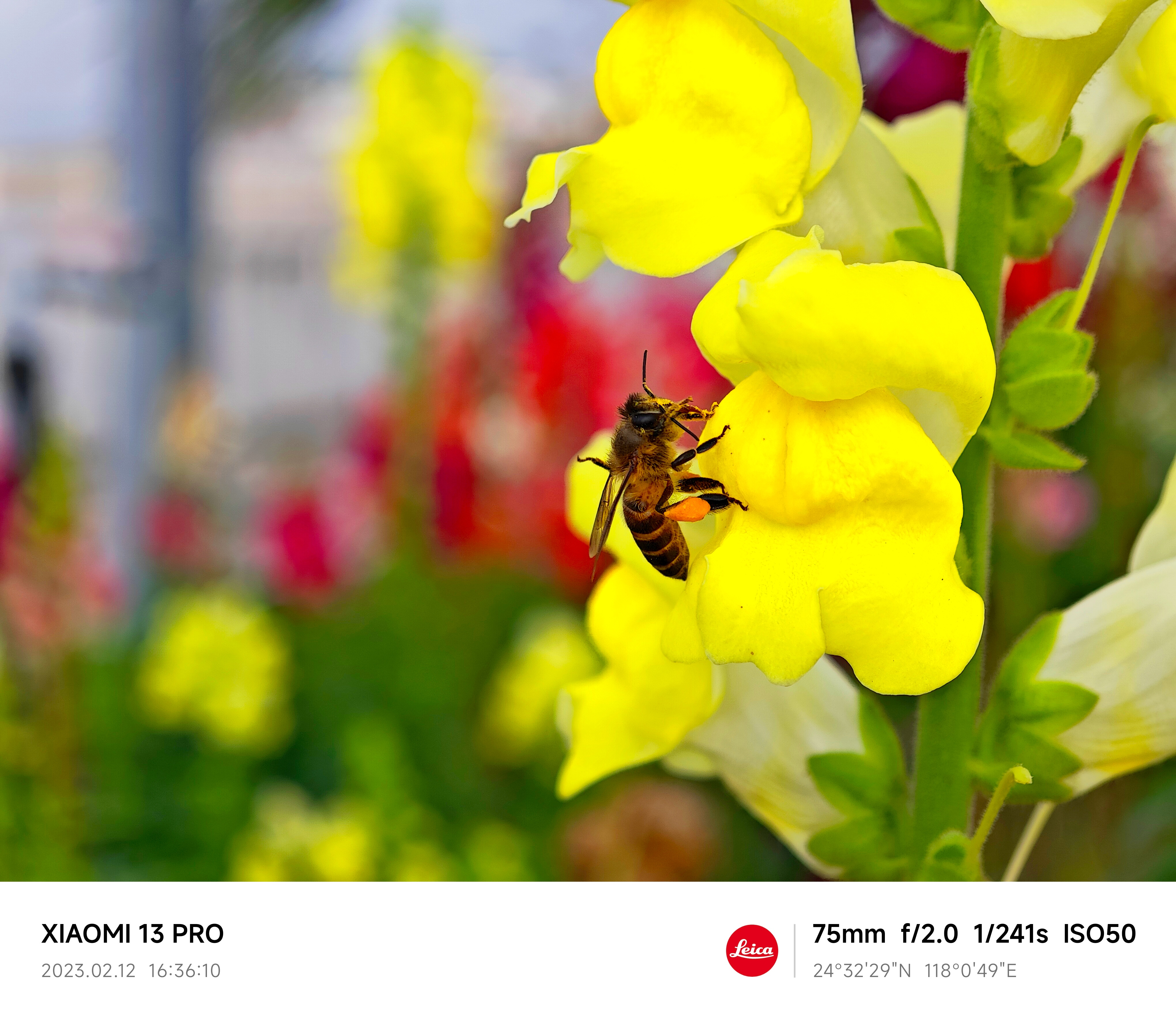 beats365(�й���)-Ψһ�ٷ���վ