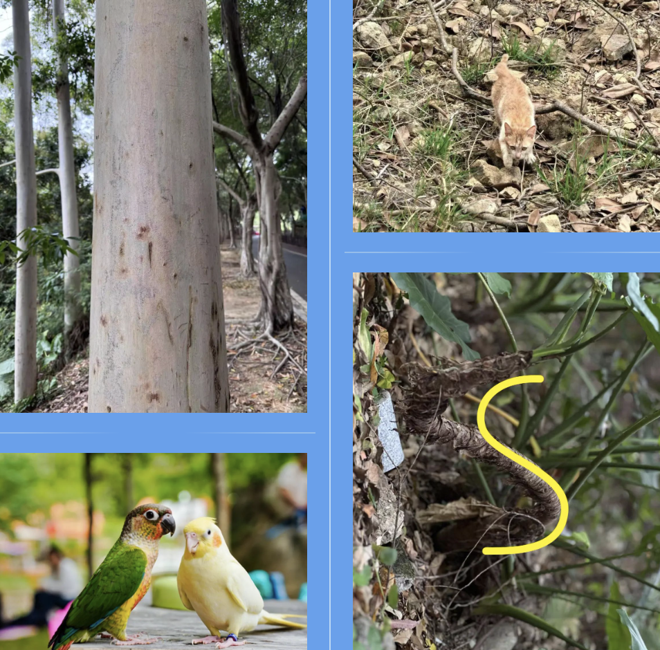 beats365(中国区)-唯一官方网站